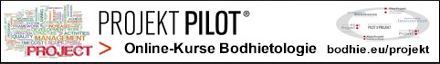 Online-Kurse Bodhietologie 🚁 Projekt Pilot*in